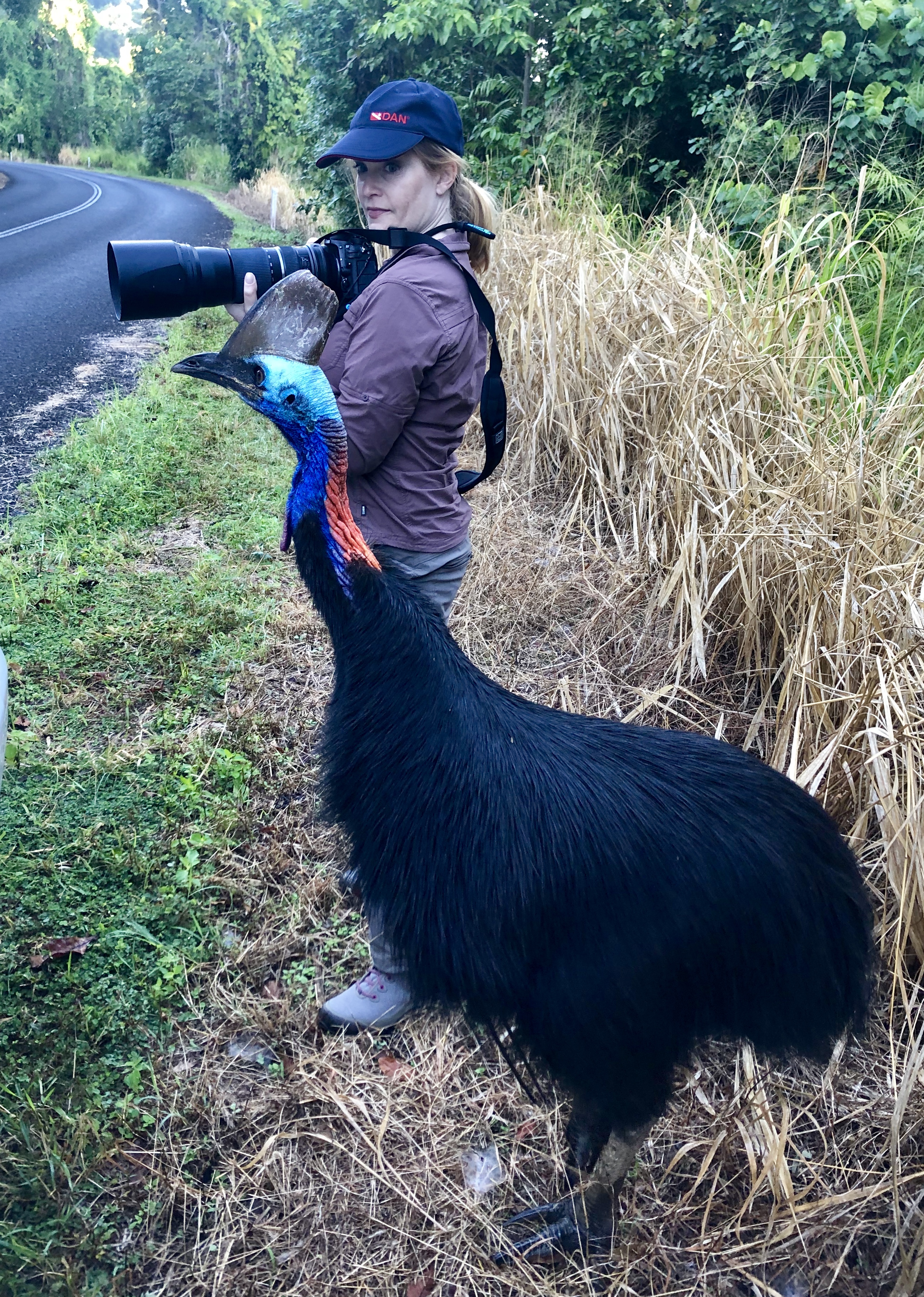 Dr. Bangasser displaying freezing behavior during an encounter with a cassowary, which at least one source claims is the world’s most dangerous bird.